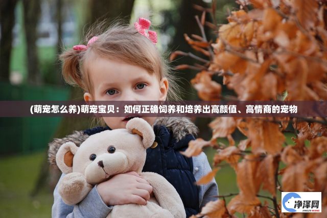 (萌宠怎么养)萌宠宝贝：如何正确饲养和培养出高颜值、高情商的宠物